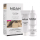 Noah