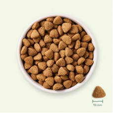 Dry food for dogs