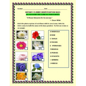 Catalog Spring Garden